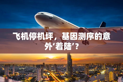 飞机停机坪，基因测序的意外‘着陆’？