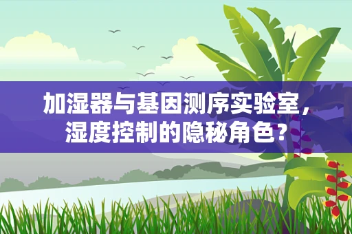 加湿器与基因测序实验室，湿度控制的隐秘角色？