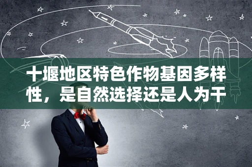 十堰地区特色作物基因多样性，是自然选择还是人为干预的结果？