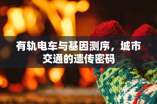 有轨电车与基因测序，城市交通的遗传密码