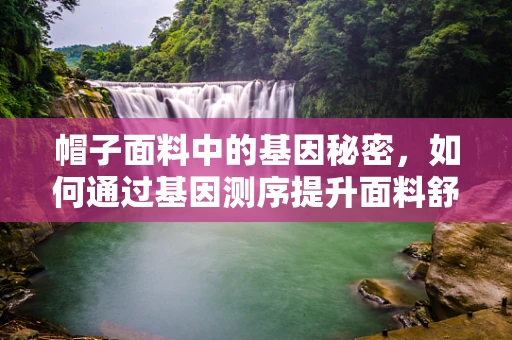 帽子面料中的基因秘密，如何通过基因测序提升面料舒适度与耐用性？