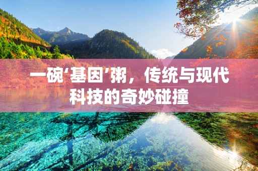 一碗‘基因’粥，传统与现代科技的奇妙碰撞