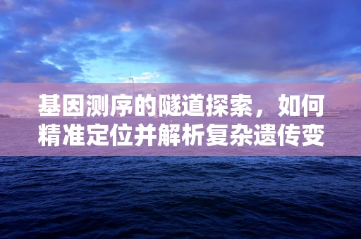 基因测序的隧道探索，如何精准定位并解析复杂遗传变异？