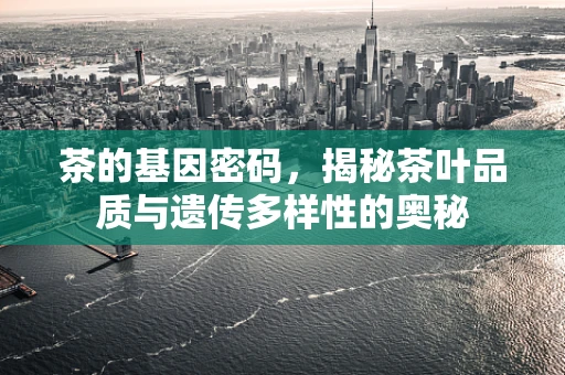 茶的基因密码，揭秘茶叶品质与遗传多样性的奥秘