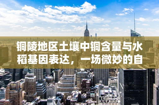铜陵地区土壤中铜含量与水稻基因表达，一场微妙的自然实验