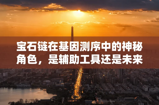 宝石链在基因测序中的神秘角色，是辅助工具还是未来趋势？