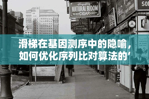 滑梯在基因测序中的隐喻，如何优化序列比对算法的‘滑行’效率？