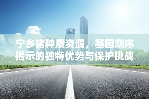 宁乡猪种质资源，基因测序揭示的独特优势与保护挑战