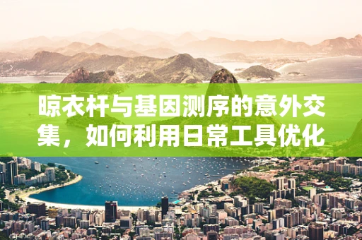 晾衣杆与基因测序的意外交集，如何利用日常工具优化样本处理流程？