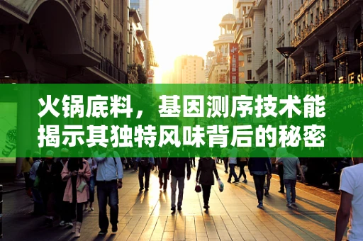 火锅底料，基因测序技术能揭示其独特风味背后的秘密吗？