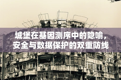 城堡在基因测序中的隐喻，安全与数据保护的双重防线
