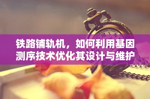 铁路铺轨机，如何利用基因测序技术优化其设计与维护？
