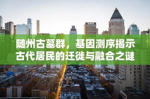 随州古墓群，基因测序揭示古代居民的迁徙与融合之谜