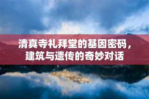 清真寺礼拜堂的基因密码，建筑与遗传的奇妙对话