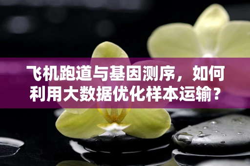 飞机跑道与基因测序，如何利用大数据优化样本运输？