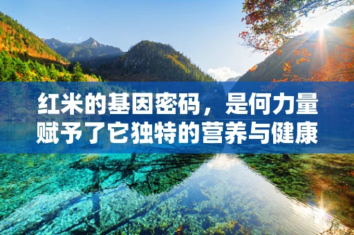 红米的基因密码，是何力量赋予了它独特的营养与健康价值？