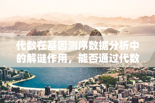 代数在基因测序数据分析中的解谜作用，能否通过代数方法优化序列组装？