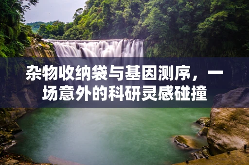 杂物收纳袋与基因测序，一场意外的科研灵感碰撞