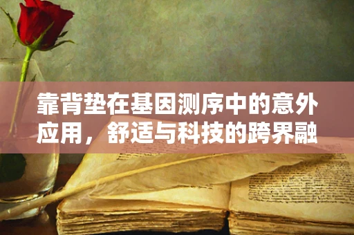 靠背垫在基因测序中的意外应用，舒适与科技的跨界融合？