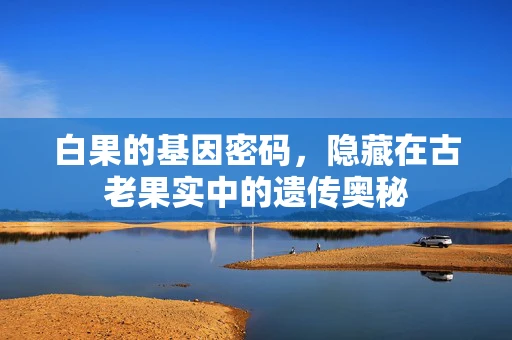 白果的基因密码，隐藏在古老果实中的遗传奥秘