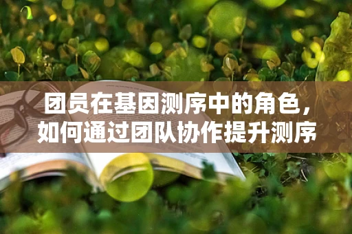 团员在基因测序中的角色，如何通过团队协作提升测序效率与准确性？