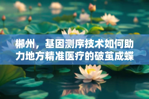 郴州，基因测序技术如何助力地方精准医疗的破茧成蝶？