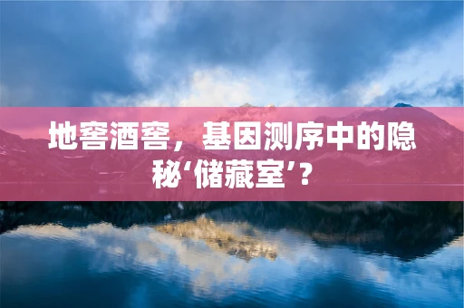 地窖酒窖，基因测序中的隐秘‘储藏室’？