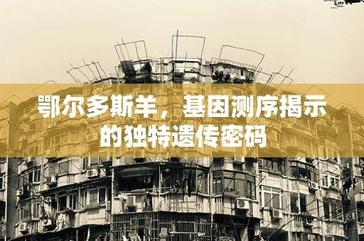 鄂尔多斯羊，基因测序揭示的独特遗传密码