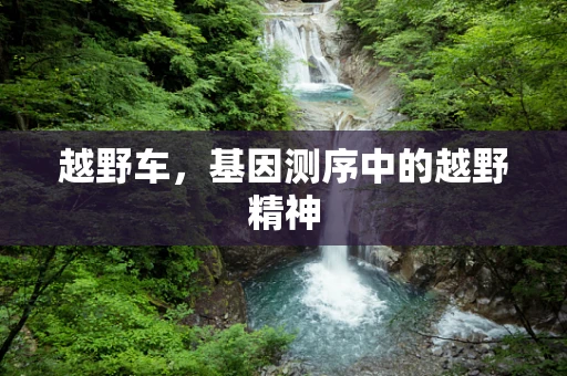 越野车，基因测序中的越野精神