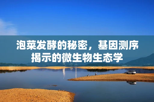 泡菜发酵的秘密，基因测序揭示的微生物生态学