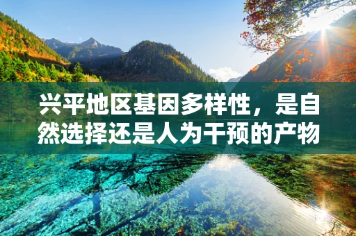 兴平地区基因多样性，是自然选择还是人为干预的产物？