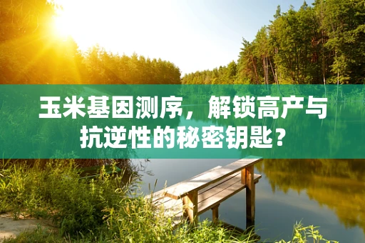 玉米基因测序，解锁高产与抗逆性的秘密钥匙？