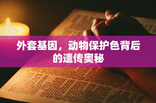 外套基因，动物保护色背后的遗传奥秘