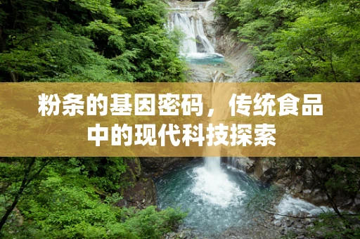 粉条的基因密码，传统食品中的现代科技探索