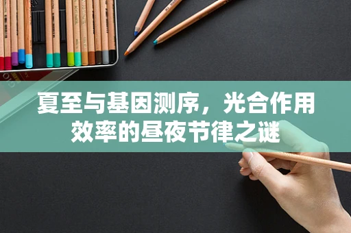 夏至与基因测序，光合作用效率的昼夜节律之谜
