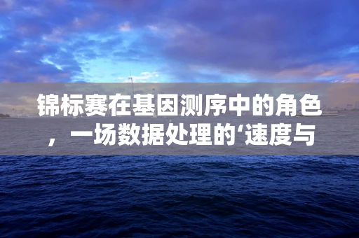 锦标赛在基因测序中的角色，一场数据处理的‘速度与激情’
