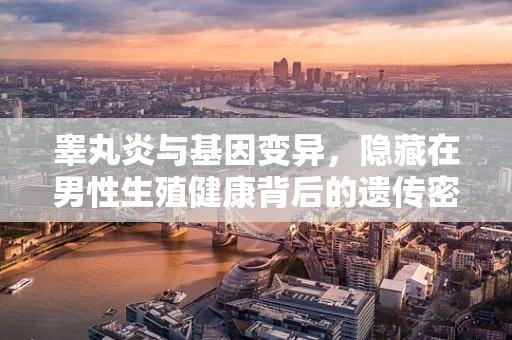 睾丸炎与基因变异，隐藏在男性生殖健康背后的遗传密码？