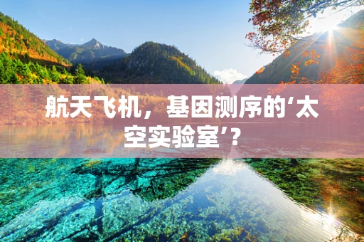 航天飞机，基因测序的‘太空实验室’？