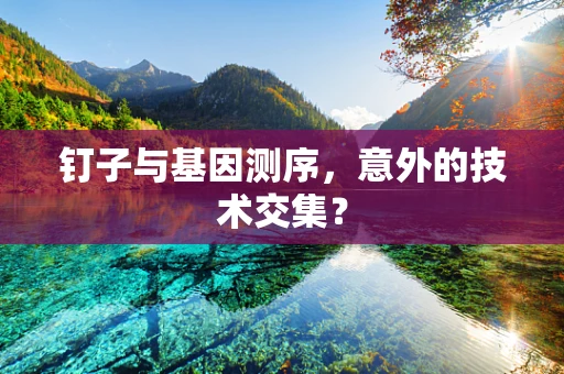 钉子与基因测序，意外的技术交集？
