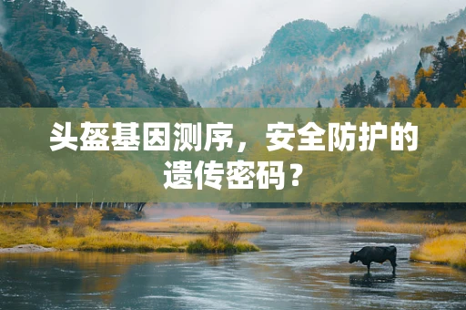 头盔基因测序，安全防护的遗传密码？