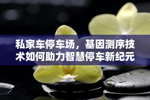 私家车停车场，基因测序技术如何助力智慧停车新纪元？