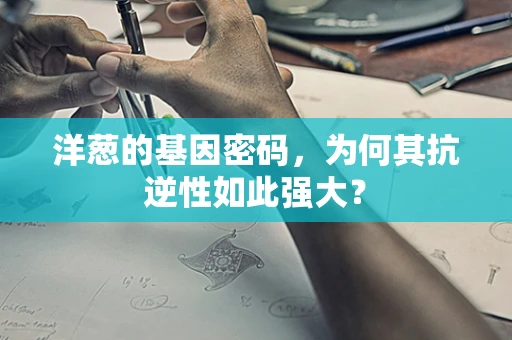 洋葱的基因密码，为何其抗逆性如此强大？