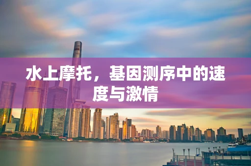 水上摩托，基因测序中的速度与激情