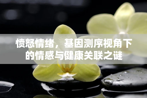 愤怒情绪，基因测序视角下的情感与健康关联之谜