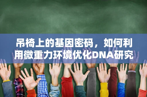 吊椅上的基因密码，如何利用微重力环境优化DNA研究？