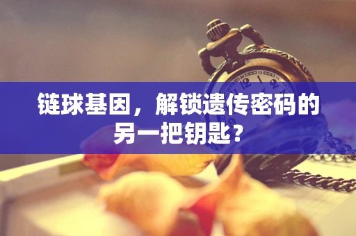 链球基因，解锁遗传密码的另一把钥匙？