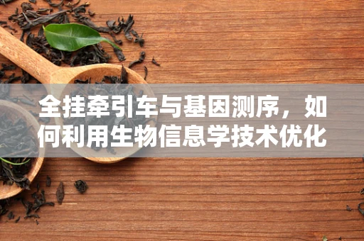 全挂牵引车与基因测序，如何利用生物信息学技术优化运输效率？