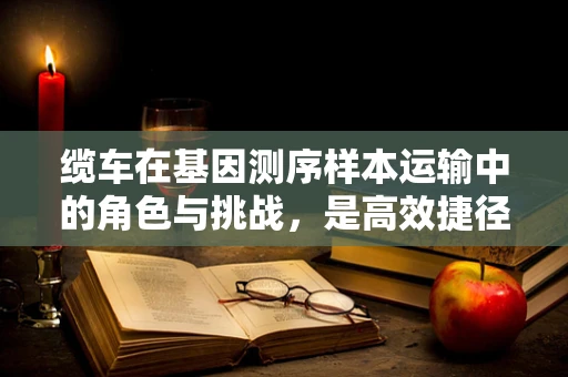 缆车在基因测序样本运输中的角色与挑战，是高效捷径还是隐秘风险？