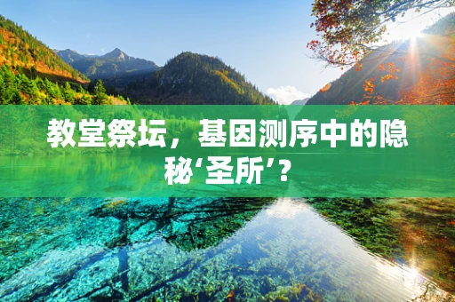 教堂祭坛，基因测序中的隐秘‘圣所’？