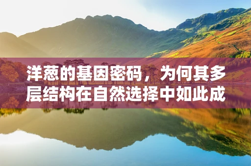 洋葱的基因密码，为何其多层结构在自然选择中如此成功？